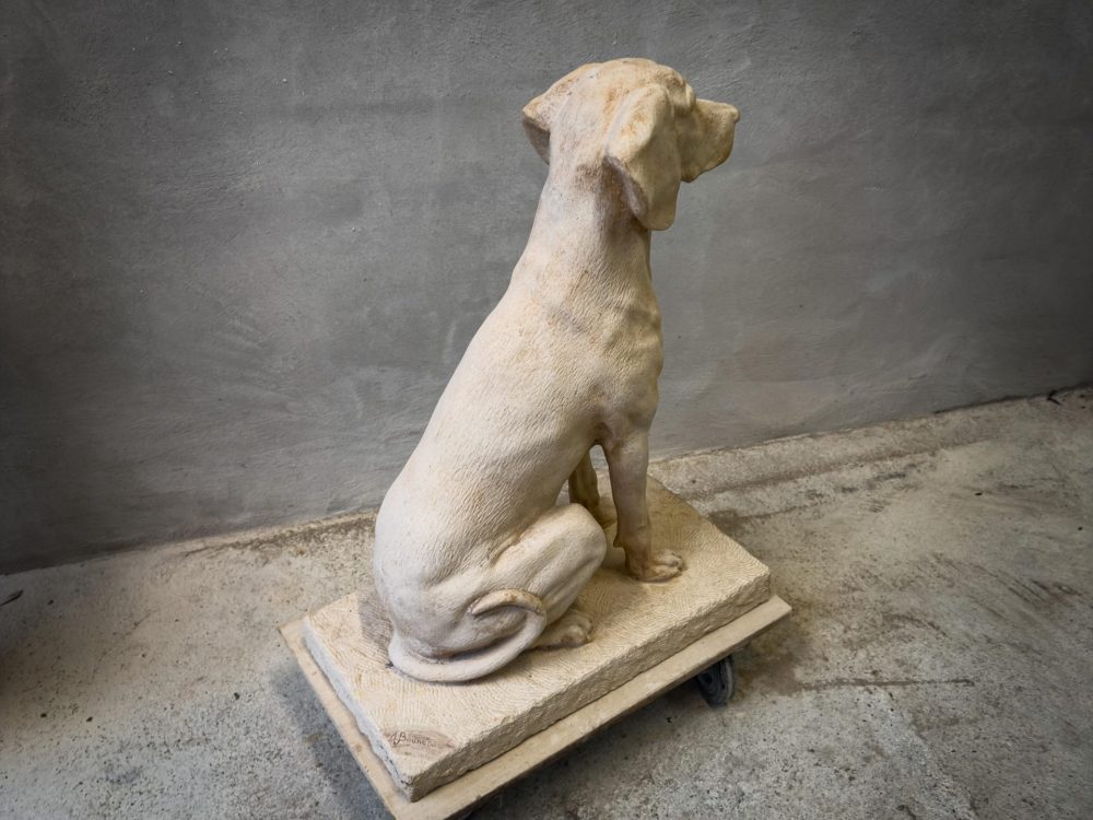 Taille de pierre chien braque hongrois